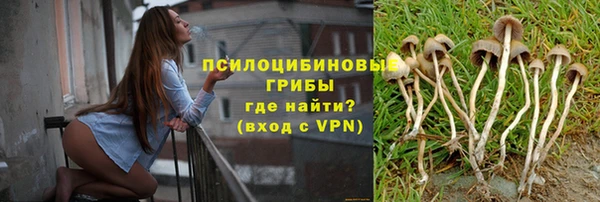 Альфа ПВП Нягань