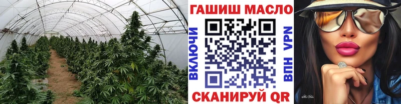 Купить закладки  Юрьевец  ТГК жижа 
